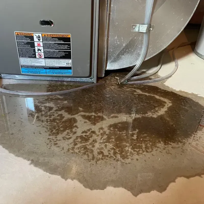 Appliance Leak Cleanup in Canton, MA